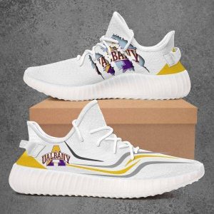 Albany Great Danes NCAA Sport Teams Top Branding Trends Shoes Yeezy v2 Sneakers