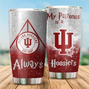 Indiana Hoosiers Tumbler Harry Potter NCAA TB2703
