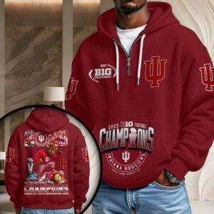 Indiana Hoosiers Football 2025 Big Ten Champions 3D Unisex Waffle Hoodie UWH1036